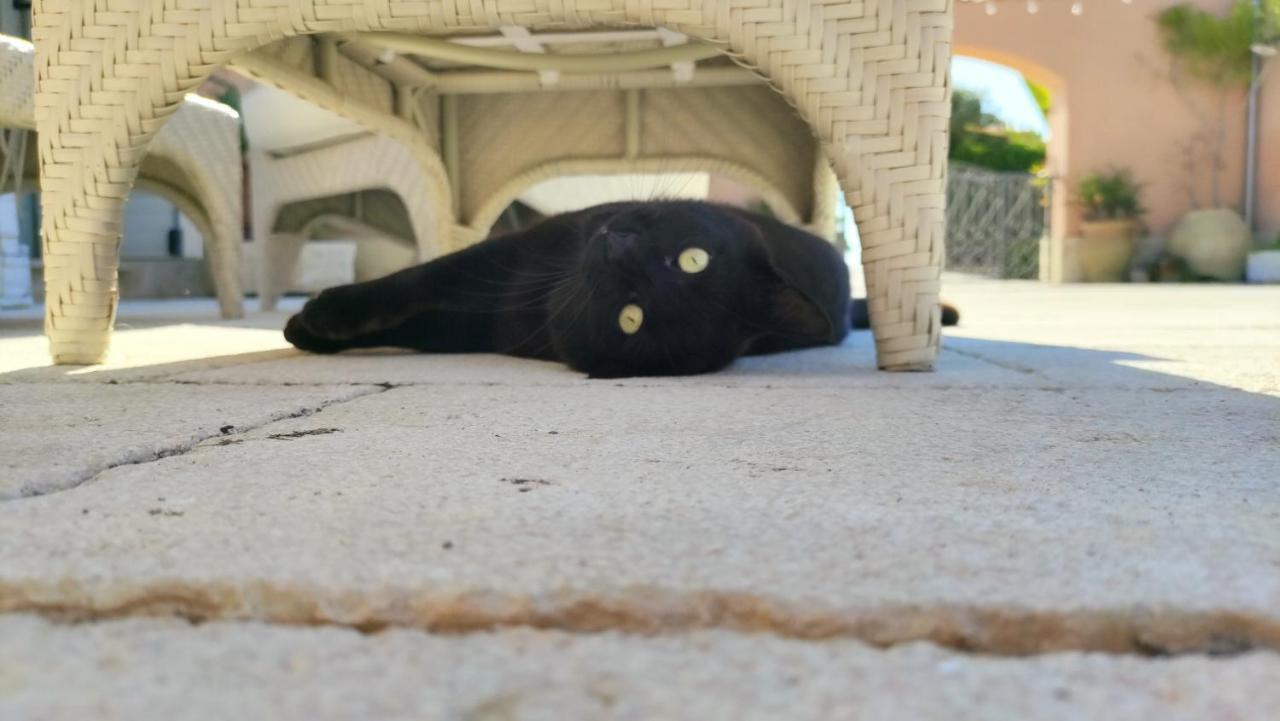 Le Zagare Di Vendicari Villa Lido di Noto Kültér fotó